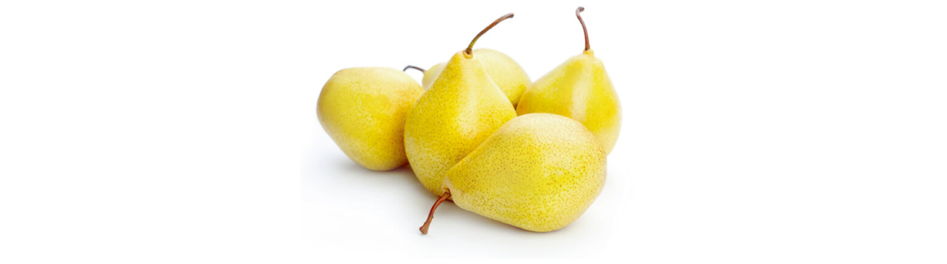 FDP Limonera pear