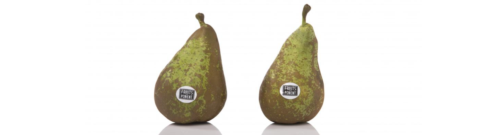 FDP Conference pear